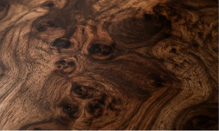 Figured walnut burl at macro scale