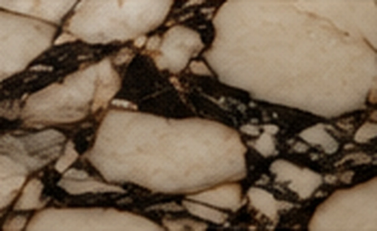 Breccia marble, photographed at macro scale