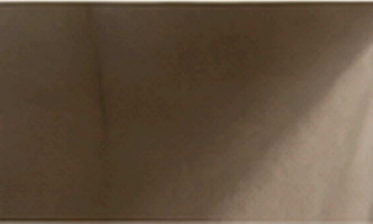 Burnished mineral plaster &mdash; Plaster