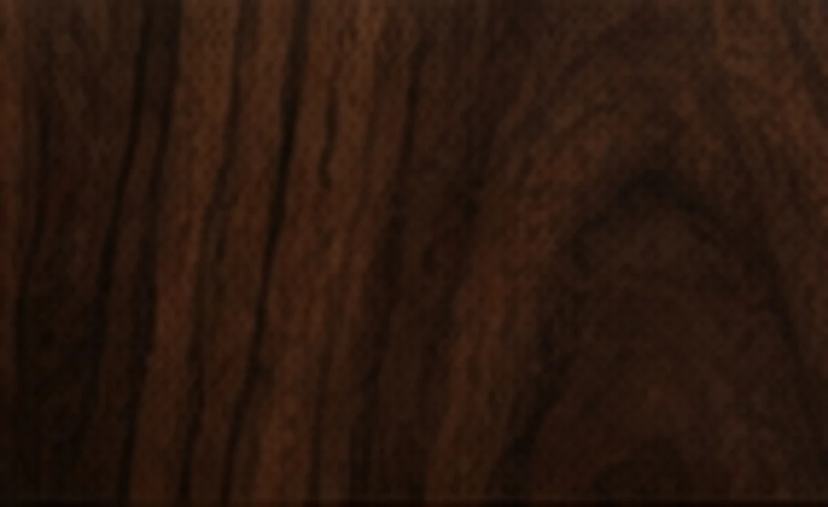Dark walnut, photographed at macro scale