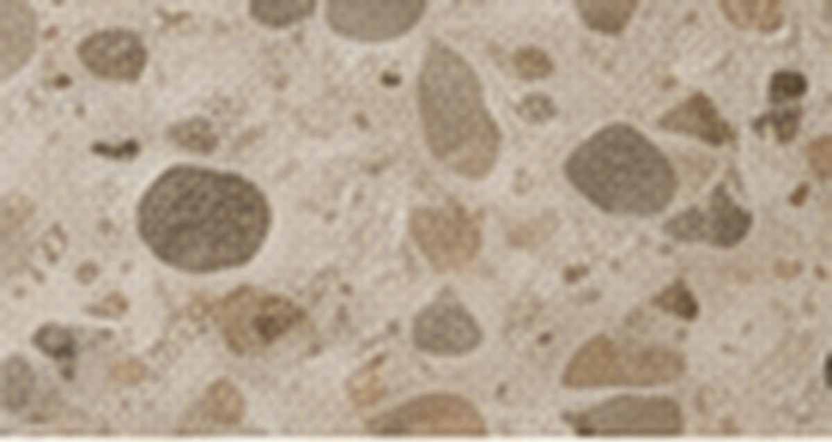 Terrazzo, photographed at macro scale